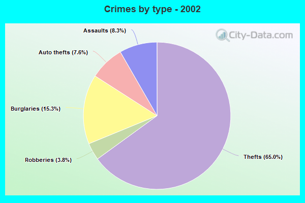 Crimes by type - 2002