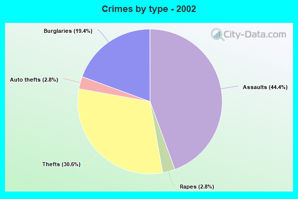 Crimes by type - 2002