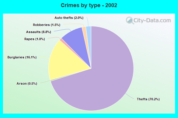 Crimes by type - 2002