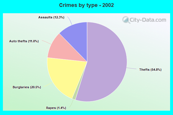 Crimes by type - 2002