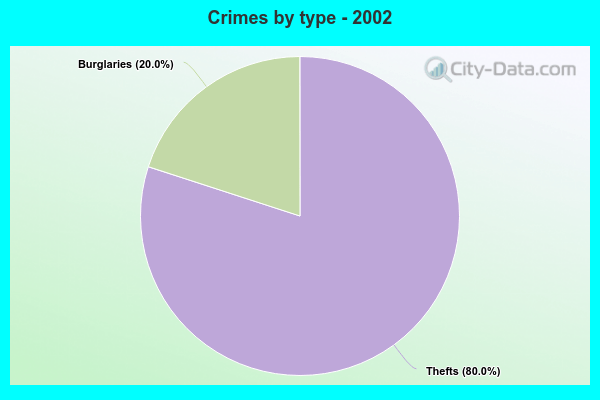 Crimes by type - 2002