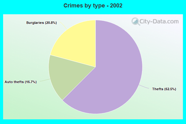 Crimes by type - 2002