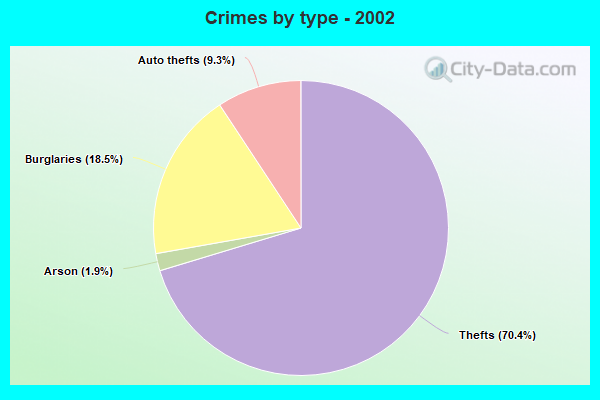 Crimes by type - 2002