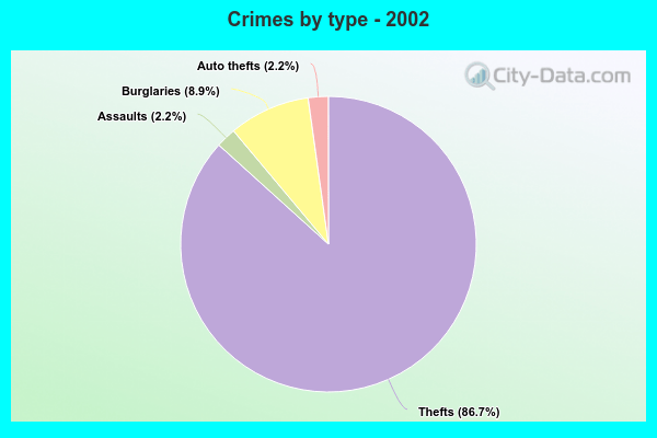 Crimes by type - 2002