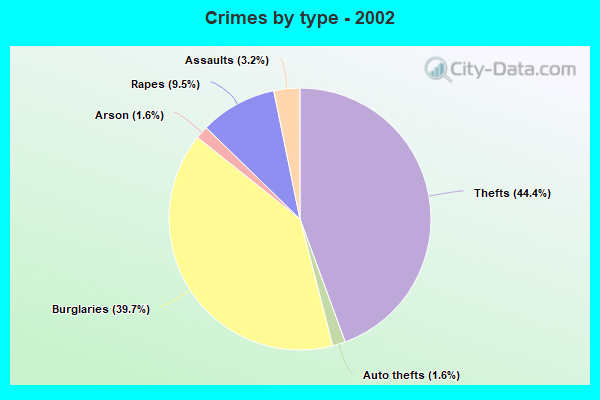 Crimes by type - 2002