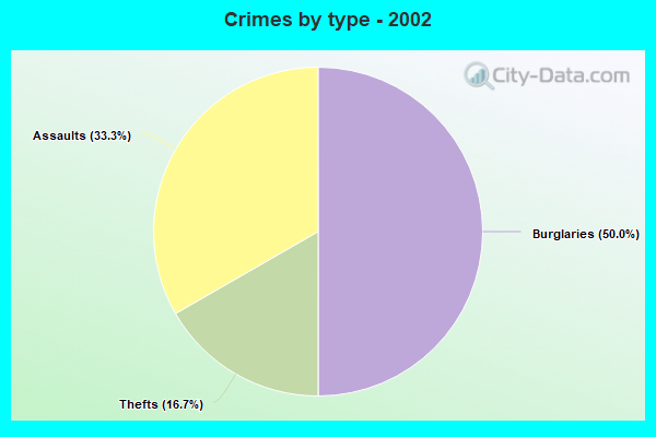 Crimes by type - 2002