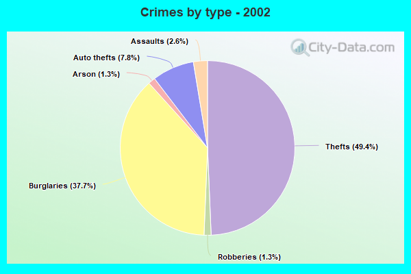 Crimes by type - 2002