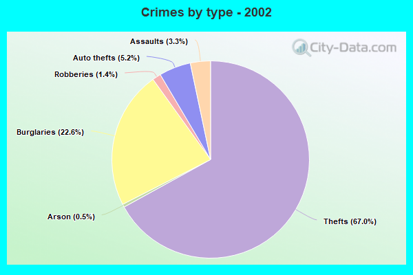 Crimes by type - 2002