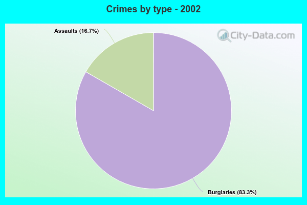 Crimes by type - 2002