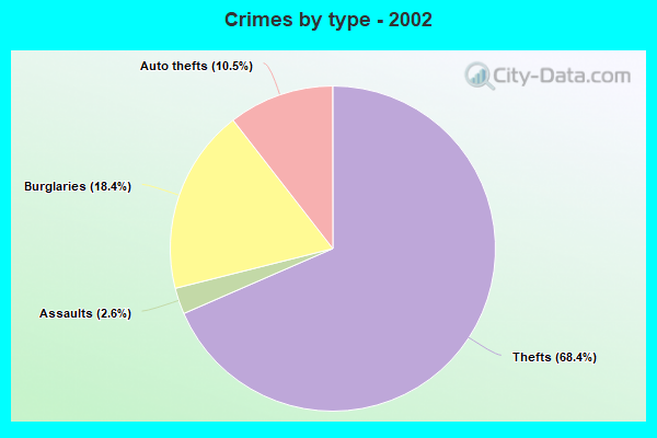 Crimes by type - 2002