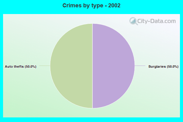 Crimes by type - 2002