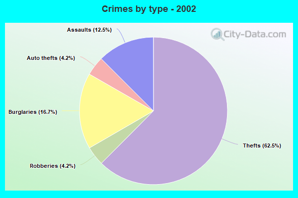 Crimes by type - 2002