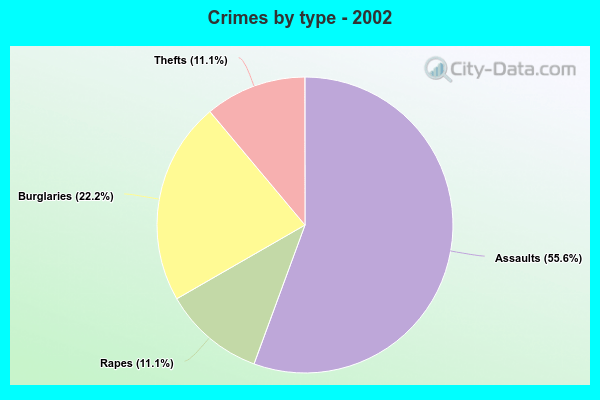 Crimes by type - 2002