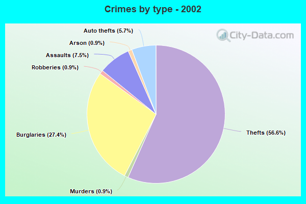 Crimes by type - 2002