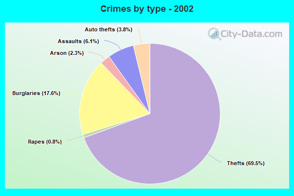 Crimes by type - 2002