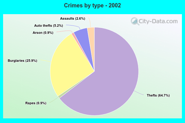 Crimes by type - 2002