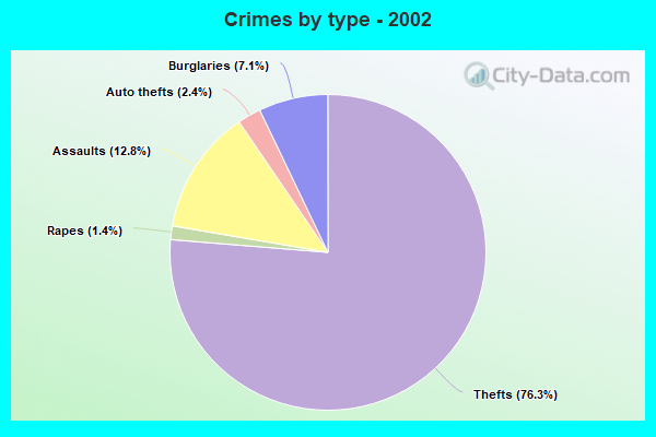 Crimes by type - 2002