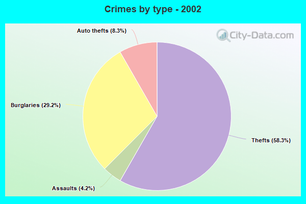 Crimes by type - 2002