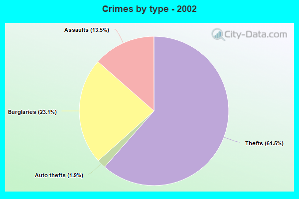 Crimes by type - 2002