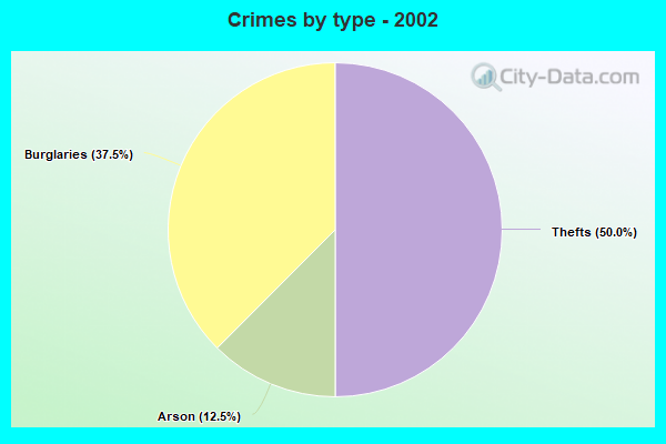 Crimes by type - 2002