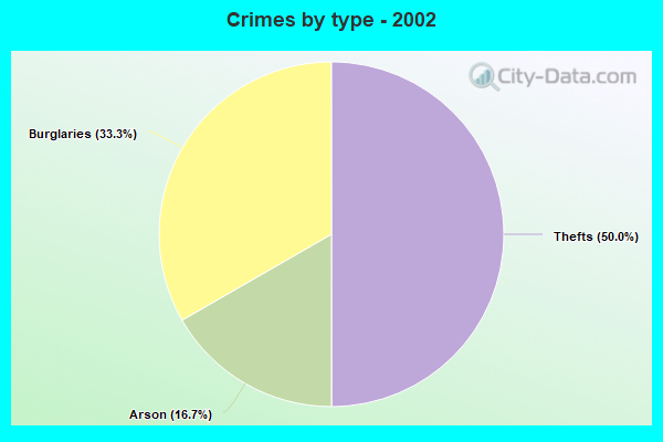 Crimes by type - 2002