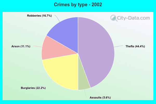 Crimes by type - 2002