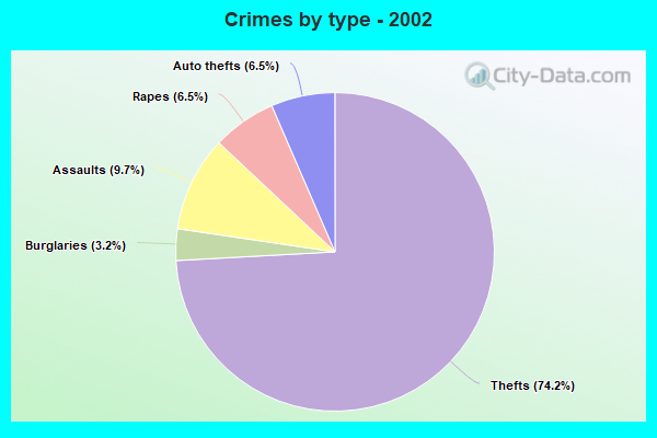 Crimes by type - 2002