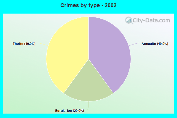 Crimes by type - 2002