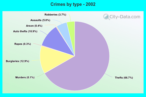 Crimes by type - 2002