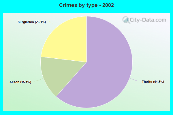 Crimes by type - 2002