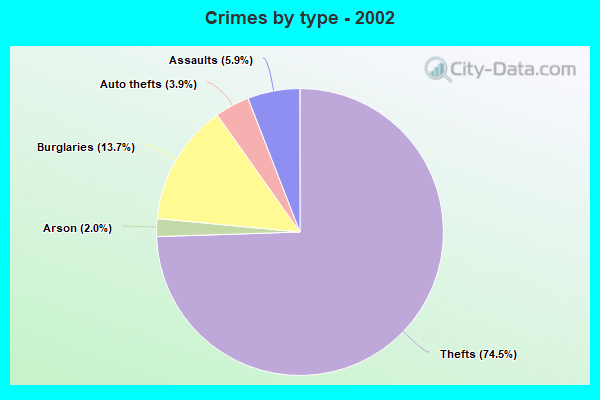 Crimes by type - 2002