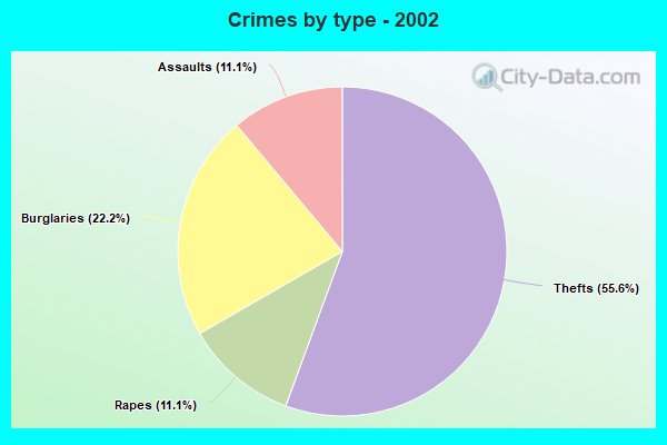 Crimes by type - 2002