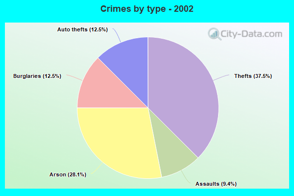 Crimes by type - 2002