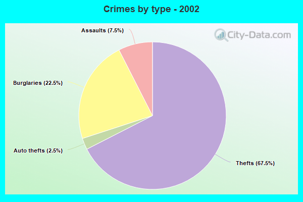 Crimes by type - 2002