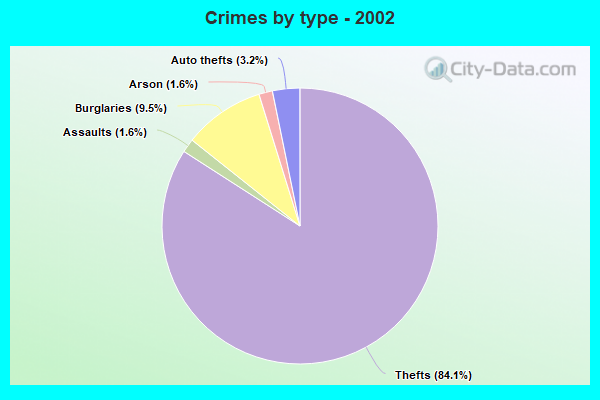 Crimes by type - 2002