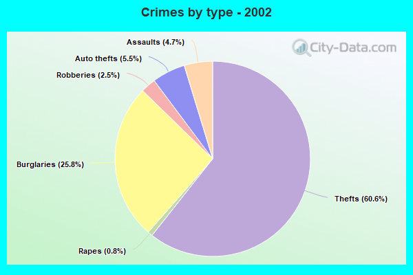 Crimes by type - 2002