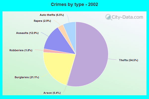 Crimes by type - 2002