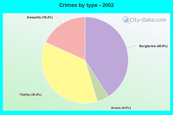 Crimes by type - 2002