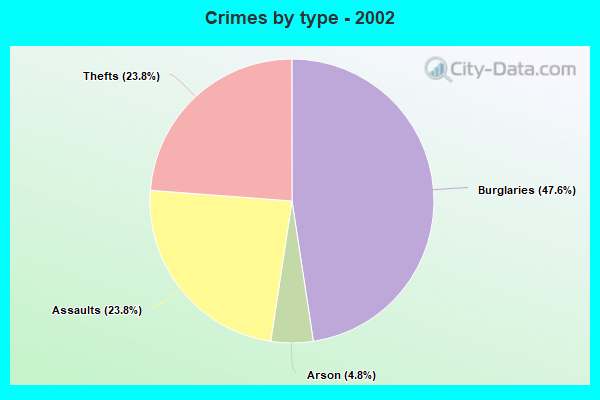 Crimes by type - 2002