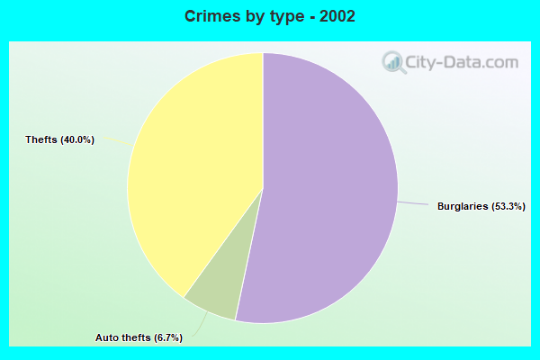 Crimes by type - 2002