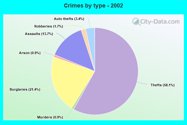 Crimes by type - 2002