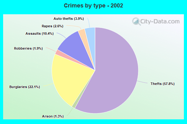 Crimes by type - 2002