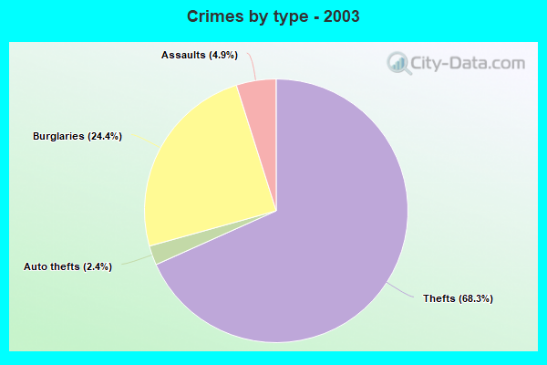 Crimes by type - 2003