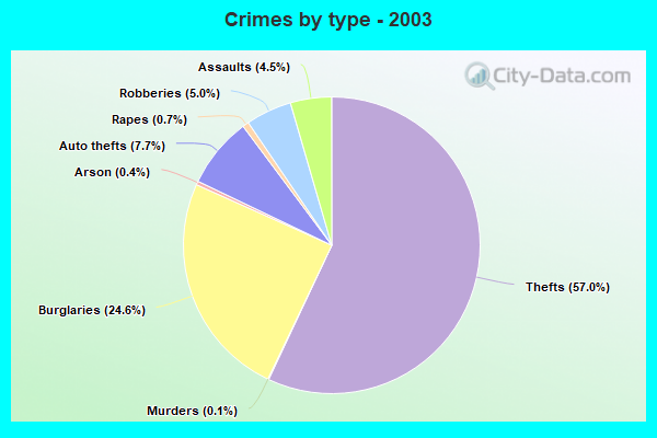 Crimes By Type 2003 Albany GA 