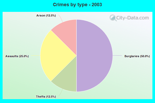 Crimes by type - 2003