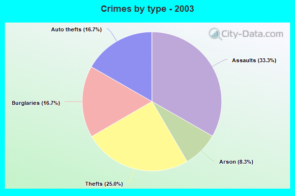 Crimes by type - 2003