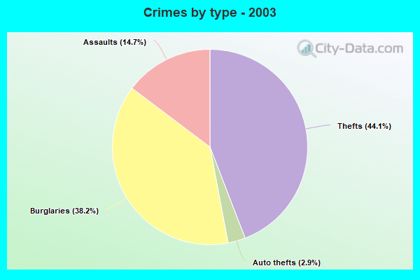 Crimes by type - 2003