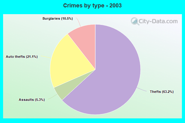 Crimes by type - 2003