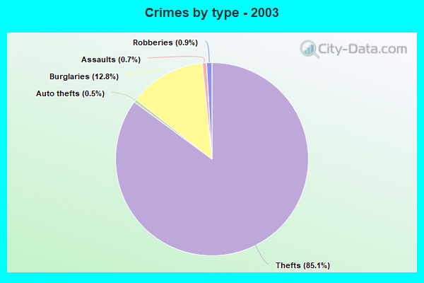 Crimes by type - 2003