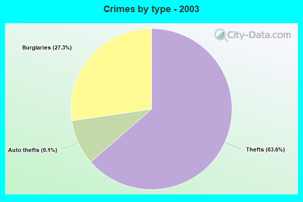 Crimes by type - 2003